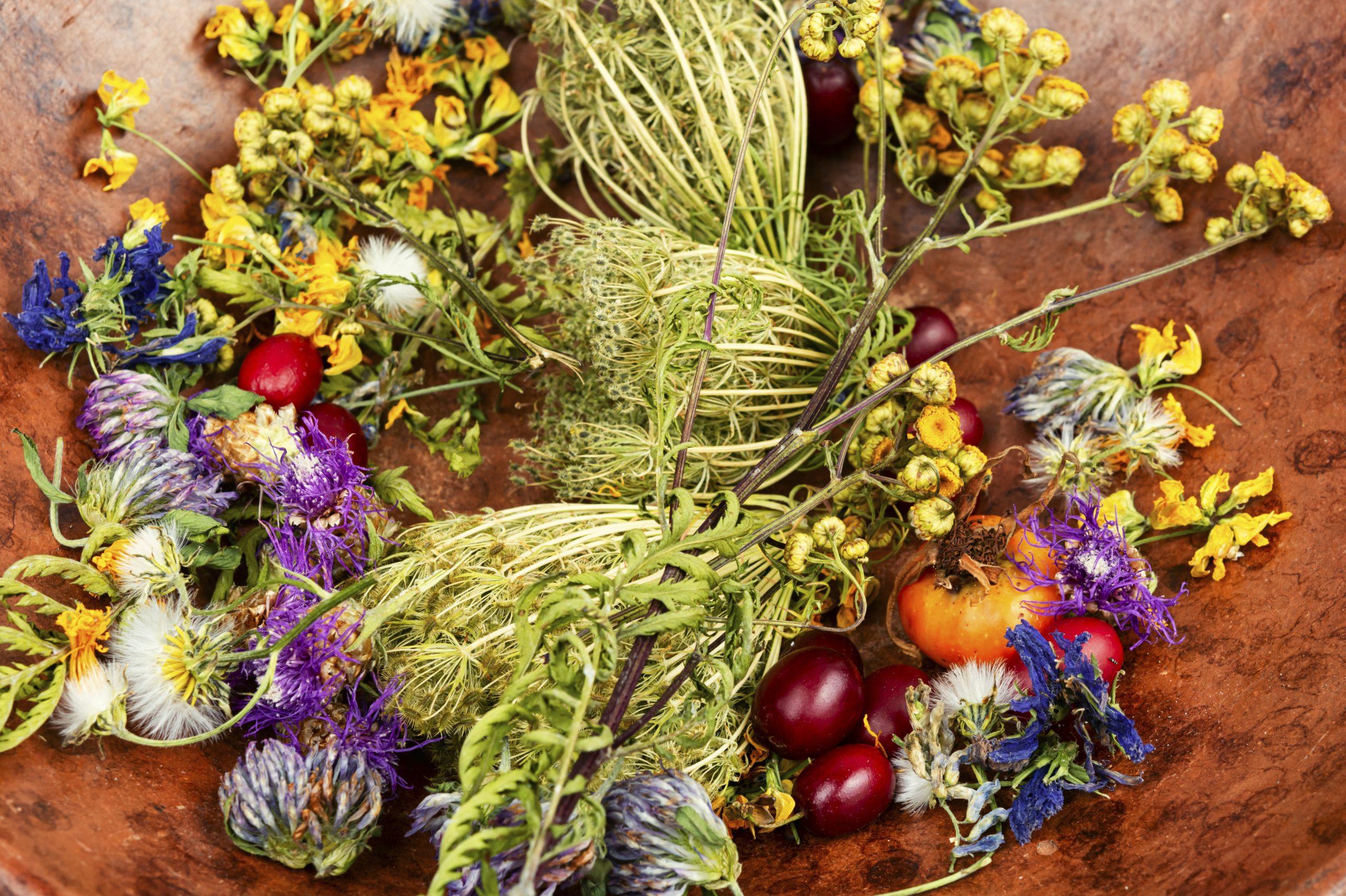 Alliance for Natural Health: FDA Gets Tough on Adulterated Herbals — Are Other Botanicals Safe?